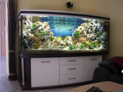 Aquariumkombination deco-s 200x60x60g