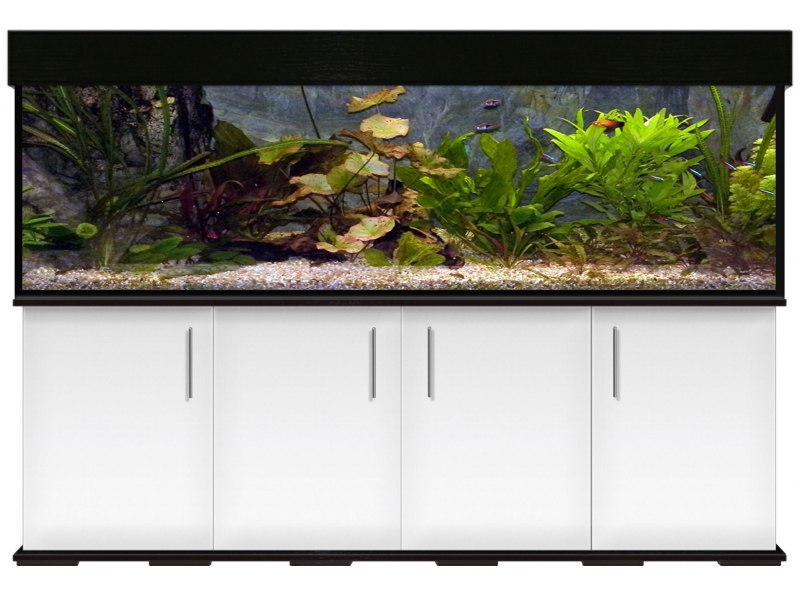 Aquariumkombination modern 200x50x60 - Rechteck, 600l, 12mm bei