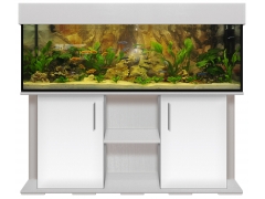 Aquariumkombination standard+r 150x50x50