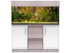 Aquariumkombination classic+r 120x40x50