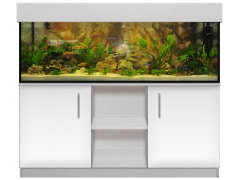 Aquariumkombination classic-r 150x50x50