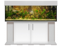 Aquariumkombination standard 150x50x50