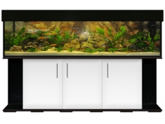 Aquariumkombination standard 200x50x50