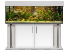 Aquariumkombination deco 150x50x50