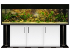 Aquariumkombination deco 200x50x50