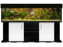 Aquariumkombination standard-r 200x50x50