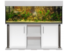 Aquariumkombination deco+r 150x50x50