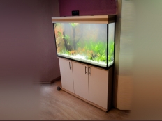 Galerie 101 - modern+ 120x50x70, Sonderanfertigung, Aquariumkombination, Rechteck, 420l, 12mm | Dekor Abdeckschiene: Eiche Sonoma D3025 PR, KRONO - Dekor Unterschrank: Eiche Sonoma D3025 PR, KRONO - Dekor Türe: Weiß Alaska, U8681 SM, glanz - Abdeckung: premium-silver - LED White+ Dimming 120 - LED RGB+ 120 - LED White+ Dimming 120 - Griffe in Chrom-Optik - Aquarium Hintergrund: 1550, hinten und links - Optiwhite vorne - Aquarium Unterlage - Druck, 10 Jahre Garantie auf Dichtigkeit - Schrankhöhe 80cm