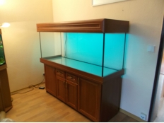 Galerie 106 - antic Komplett-Aquarium, 150x50x60, Apfel Locarno, Kiesblende, Schrankplatten 28mm, 2x T5 80W Aqua, LED RGB+, JBL CristalProfi greenline e1501, Abdeckung: comfort