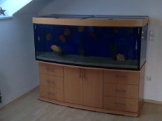 Galerie 108 - modern+s2ts Komplett-Aquarium, 160x60x60, 520l, 12mm, Gewölbt, Buche, Aquariumhintergrund Blau, Abdeckung Aluminium (nicht mehr erhätlich), T8 2x58W