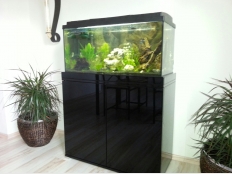 Galerie 109 - Aquarium Unterschrank 80x35x69cm als Sonderanfertigung in  Klavierlack Schwarz mit Kiesblende