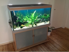 Galerie 11 - modern Aquariumkombination 120x50x60, 360l, Buche und Silber, T5: 2x39W, Türe aus mattem Milchglas, exclusiv-silver (geändert zu premium-silver)