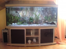 Galerie 110 - deco+r 150x60x60g, Komplett-Aquarium, 500l, Gewölbt, 10mm Floatglas, Auswahl: Unterschrank in 55cm Hoch  - Abdeckung: exclusiv-silver - Glastüren aus verdunkeltem Glas mit Aluminiumrahmen - Unterschrank Dekor: Ahorn  - mit matten Dekorationsrohren - obere und untere Schrankplatte 28mm - JBL CristalProfi e1501 greenline - Kiesblende: Silber - Aquariumhintegrund: 1549