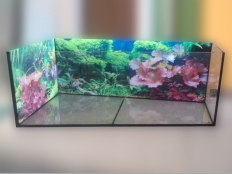 Galerie 112 - Aquarium, Sondermaß 140x70/55x60, Hintergrund 1534
