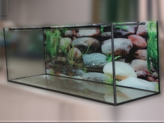 Galerie 116 - Aquarium 180x60x70 mit Aquarium Hintergrund 1548