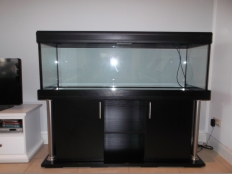 Galerie 119 - Aquariumkombination deco+r 150x50x50, Schwarz U190 SE, Kiesblende, obere und untere Schrankplatte 28mm, 2 x T5 80W Aqua