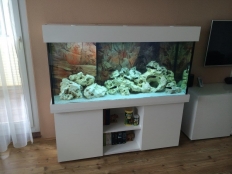 Galerie 127 - Komplett Aquarium modern+r 150x50x70, 525l, 12mm, Dekor Unterschrank: Weiß Alaska, Dekor Abdeckung udn Türe: Weiß Premium Egger Hochglanz, Kiesblende, Klicksystem, obere und untere Schrankplatte 28mm, Hintergrund 1550, 3 Kammerfilter mit Zubehör, T5 2x54W Aqua