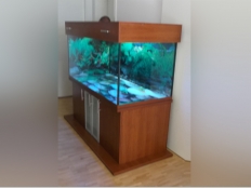 Galerie 128 - modern+ 150x70x70, 540l, 12mm, Abdeckung vagant (Sonderbestellung), Kirsche D2361 PR, Aqua 1xT5 39W, LED RGB+ 120, 2 Türe aus mattem Milchglas mit Aluminiumrahmen, obere und untere Schrankplatte 28mm, Hintergrund 1522, Bodenplatte Nr. 1548