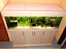 Galerie 134 - modern+ Komplett-Aquarium 150x50x50, Ahorn D375 SE, obere und untere Schrankplatte 28mm, Schrankhöhe 80cm, Optiwhite vorne, comfort, LED: 3 x LED 32W White, Eheim Professionell 3 1200XL