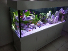 Galerie 137 - modern 200x60x70, Sonderanfertigung, Aquariumkombination, Rechteck, 839l, 15mm, Weiß Premium W1000 ST30, Abdeckung: comfort, Klicksystem, push-to-open, Aquarium Unterlage, Innenfilter: 2 Bohrungen, 3 Kammern, ohne Zubehör hinten rechts, 1x LED White+ und 2x LED RGB+