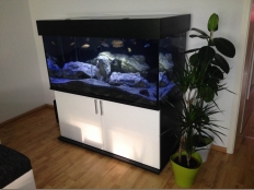 Galerie 138 - modern 130x60x60 Aquariumkombination, Rechteck, 468l, 10mm, Schwarz, U190 SE, Weiß Alaska, U8681 SM, Abdeckung comfort, Griffe in Chrom-Optik
