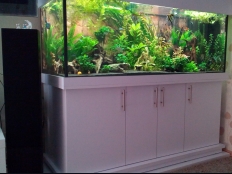 Galerie 139 - modern+ 150x60x60, Sonderanfertigung, Aquariumkombination, Rechteck, 540l, 12mm, Weiß Alaska, U8681 SM, glanz, Abdeckung comfort, LED White+ Dimming, LED Plant 150, 42W, Aquarium Hintergrund 1550, Kiesblende, Unterlage: Schwarz 150x60, Abdeckungsplatten Weiß, Füße verstellbar und verdeckt, extra Bodenplatte 28mm