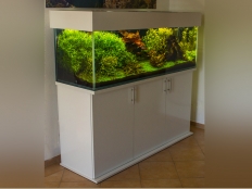 Galerie 141 - modern 150x50x50, Komplett Aquarium, Rechteck, 375l, 10mm, Weiß Premium W1000 Hochglanz, Abdeckung comfort, 2x LED White+ Dimming , 1xLED RGB+ 150, Aquarium Hintergrund Schwarz, Float mit transparentem Silikon, Unterlage, Abdeckungsplatten: Weiß, Unterschrank Höhe 80cm, Auflageplatte 28mm, Eheim Professionel 3 600, keine Füße