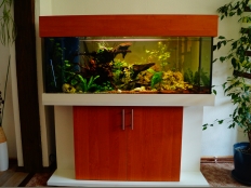 Galerie 142 - standard 120x40x50, Sonderanfertigung, Aquariumkombination, Rechteck, 244l, 8mm, Erle D9310 SE, KRONO, Dekor Unterschrank: Esche Weiß, K 101 SE, Abdeckung: comfort, Kiesblende, Unterlage, Auflageplatte und Bodenplatte 28mm