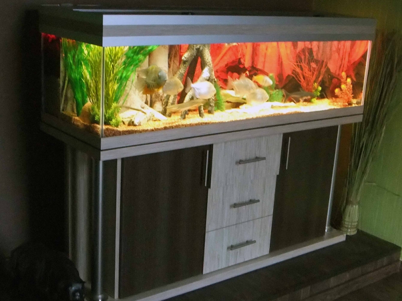 Aquarium-Unterschrank deco+s 150x60 - Rechteck bei Meduza6