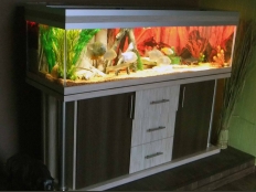 Galerie 145 - deco+s Komplett Aquarium 150x50x40 Seegras D2298 MAT, KRONO**, Malibu D2844 WG, LED White+ Dimming, LED RGB+ 150, 42W, Aquarium Hintergrund: 1601, Kiesblende, Aquarium Unterlage, Optiwhite vorne und seitlich mit transparentem Silikon**, 28mm Platten, 3 Kammerfilter mit Hintergrund und Zubehör, thermocontrol 200 Watt