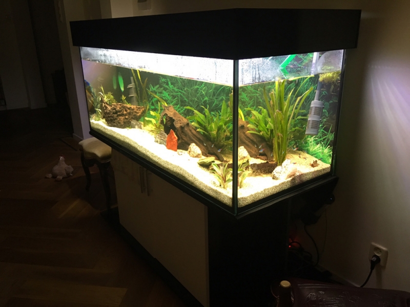 Aquarium-Unterschrank deco+s 150x60 - Rechteck bei Meduza6