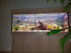 Galerie 147 - modern 160x60x60, Komplett Aquarium, Eiche Sonoma, Abdeckung: comfort, LED White+ 160, LED White+ 160, LED Plant+ 160, LED RGB+ 160, Hintergrund: 1608, Kiesblende, Optiwhite vorne, Schwarz 160x60, Füße verstellbar, 80cm Höhe, Klicksystem, Eheim Professionel 4+ 600