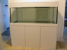 Galerie 156 - trend 150x60x60, Aquariumkombination, Rechteck, 540l, 12mm, Weiß Alaska, U8681 SM, comfort-white, Kunststoff, verstellbar + zweite Bodenplatte 28mm, Unterschrank Höhe: 82cm, Unterschrank Platten: 18mm, Auflageplatte und Bodenplatte 28mm, Unterschrank Türart: Klicksystem, push-to-open ,Unterschrank Typ: B, volle Breite und Tiefe, Rahmenstil, Unterlage: Schwarz