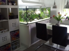 Galerie 160 - Aquarium, Rechteck, 480l, 12mm, Unterlage: Schwarz 160x50