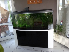 Galerie 166 - deluxe-modern-g Gewölbt 160x50, Unterschrank, Klavierlack, Klicksystem