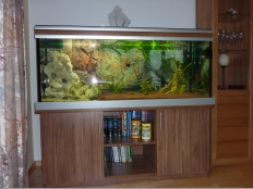 Galerie 23 - classic-r Aquariumkombination, 150x60x60, 540l, Nuss Burgund, Aquariumhintergrund 1550, 3 Kammerfilter mit Hintergrund, exclusiv-silver (geändert zu premium-silver), T5 2x54W, Kiesblende