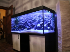Galerie 24 - Aquariumkombination, classic-r 150x50x50, 375l, Schwarz und Weiß Alaska, 28mm Platten, (Abdeckung überholt), T5 2x54W
