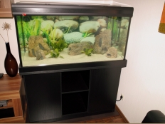 Galerie 25 - Classic+r Aquariumkombination 120x60x60, 432l, Unterschrank 80cm Hoch, 28mm Möbelplatten, Aquariumhintergrund: Nr. 1548,exclusiv-black (jetzt premium-black), 2 x LED White