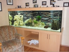 Galerie 27 - Aquariumkombination, classic+r 200x60x70, 840l, Buche, Kiesblende, (Abdeckung, Schrankmaßen überholt)