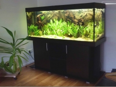 Galerie 3 - standard+r Aquariumkombination, 150x50x60, 450l, Schwarz, Kiesblende, T5 2x54W (Abdeckung überholt)