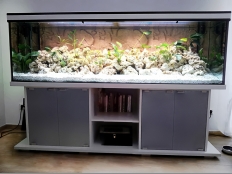 Galerie 33 - Aquariumkombination standard2+r, 720l, 200x60x60, Tür aus verdunkeltem Glas, Auflageplatte und Bodenplatte 28mm, Abdeckung: exclusiv-black (geändert zu premium-black)