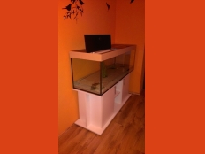 Galerie 4 - standard+r, Aquariumkombination, 150x50x50, 375l, Weiß, Ahorn, T8 2x36W (Abdeckung überholt)