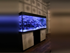 Galerie 43 - Aquariumkombination, classic-r 150x50x50, 375l, Schwarz und Weiß Alaska, 28mm Platten, (Abdeckung überholt), T5 2x54W