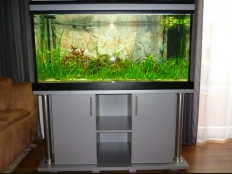 Galerie 53 - Aquariumkombination deco+r, 120x50x60, 360l, 10mm, Silber, Kiesblende, matt, obere und untere Schrankplatte 28mm, exclusiv-black (geändert zu premium-black), T5: 2x54W
