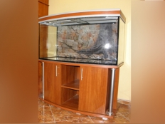 Galerie 57 - Aquariumkombination deco+r 120x60x60, 400l, 10mm, Gewölbt, Apfel Locarno, Dekorohre in matt, Schreinerqualität: Auflage- und Bodenplatte in 28mm, Aquariumhintergrund 1550, exlxclusiv-silver