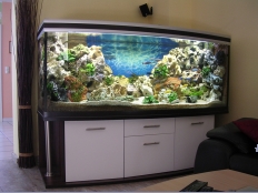 Galerie 58 - Sonderanfertigung Aquariumkombination deco-s 180x70x70g, Gewölbt, 12mm, Unterschrank Höhe: 58cm, Nuss California D2713 BS, Türe Weiß Alaska, exclusiv-silver, Türschräge Schräge Türen angepasst zur Wölbung, alle Schrankplatten 28mm
