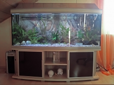 Galerie 59 - Aquariumkombination deco+ 150x60x60g, 500l, Gewölbt, exclusiv-silver, Unterschrank 55cm Hoch, Türe aus dunkelbraunen Glas mit Aluminiumrahmen, Auflage- und Bodenplatte 28mm, JBL CristalProfi e1501 greenline - Energiesparende, Kiesblende in Silber