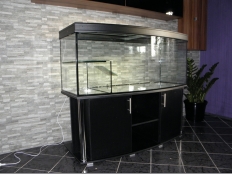 Galerie 60 - Komplett-Aquarium deco+ 150x60x60, 10mm, exclusiv-black, Schwarz, Chrom-Dekorationsrohren, T5: 2x54W, Schildkröteninsel mit Treppe (Abdeckung und Dekorationsrohre nicht mehr aktuell)