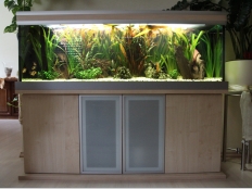 Galerie 62 - Aquariumkombination modern+, Sondermaß 150x40x50, Ahorn, Kiesblende Silber - Unterschrank, 2 matte Milchglastüren mit Aluminiumrahmen Türe, Klicksystem, obere und untere Platte in 28 mm, Abdeckung: exclusiv-silver, T5 - 2x54W, ohne Füße