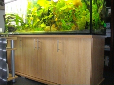 Galerie 63 - Komplett Aquarium modern+ 160x60x60, 576l, 12mm, Eiche D9118 SE, Unterschrank mit 4 Türen Hinten als Antrappe, obere und untere Schrankplatte 28mm, Aquariumhintergrund 1516, Abdeckung exclusiv-black, Cora 2xT5 80W, Eheim Professionel 3 2075, JBL Pro Temp S 200, JBL AquaCristal 18W